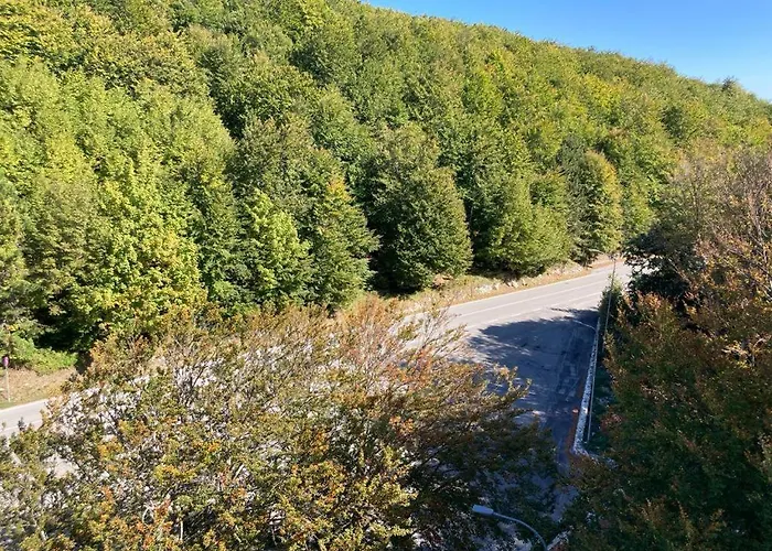 Edelweiss Apt29 Pretoro